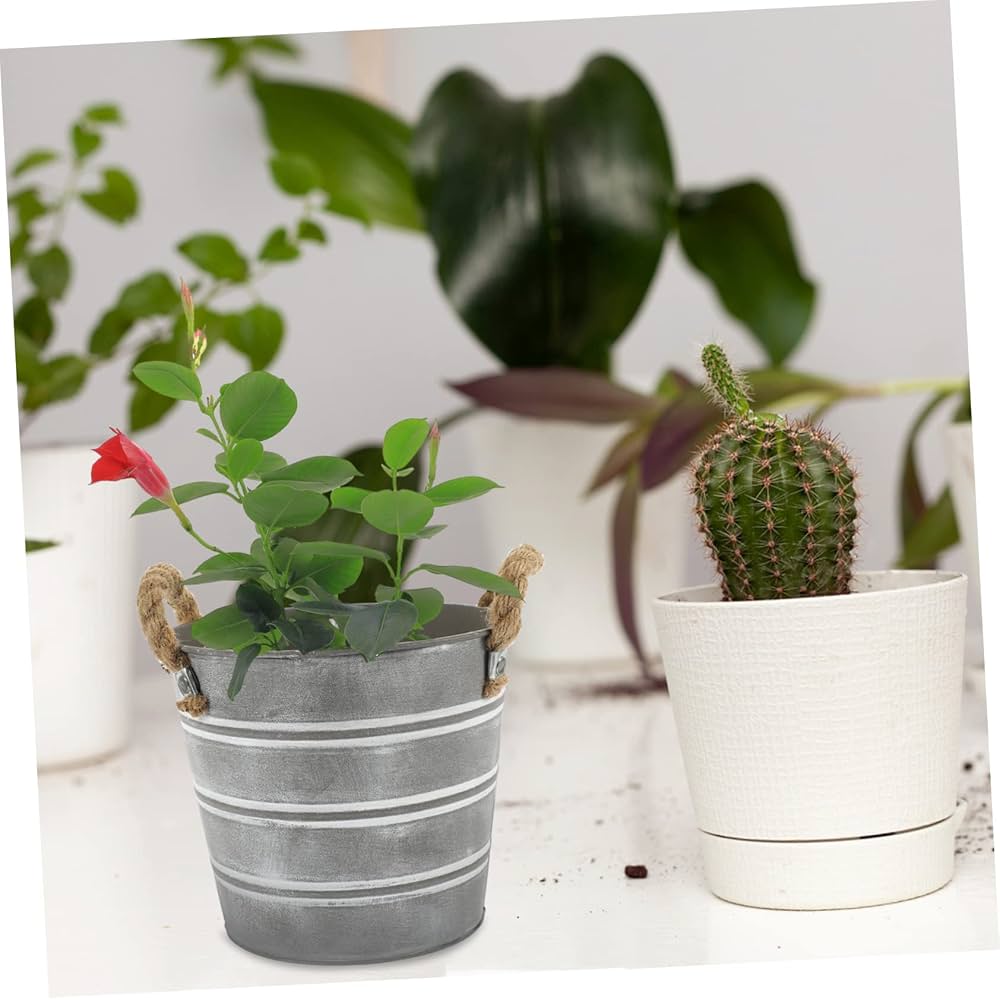 GANAZONO Retro Style Flower Pot Iron Crafted for Bonsai Home